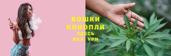 а пвп мука Инта