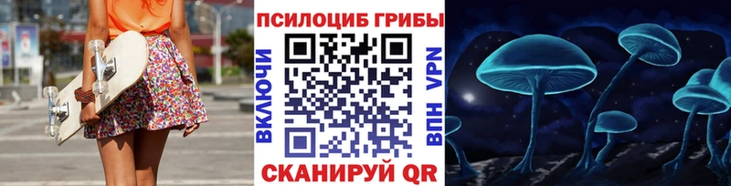 Галлюциногенные грибы Psilocybe  Хасавюрт 