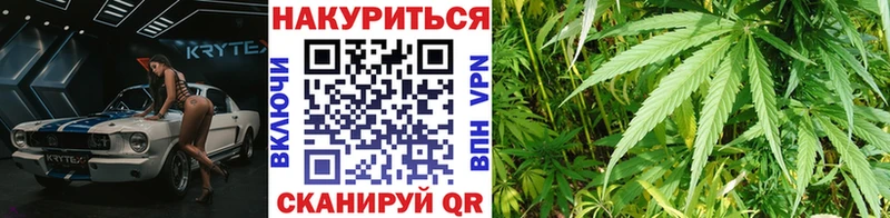 где купить наркотик  Хасавюрт  Шишки марихуана марихуана 